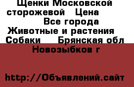 Щенки Московской сторожевой › Цена ­ 35 000 - Все города Животные и растения » Собаки   . Брянская обл.,Новозыбков г.